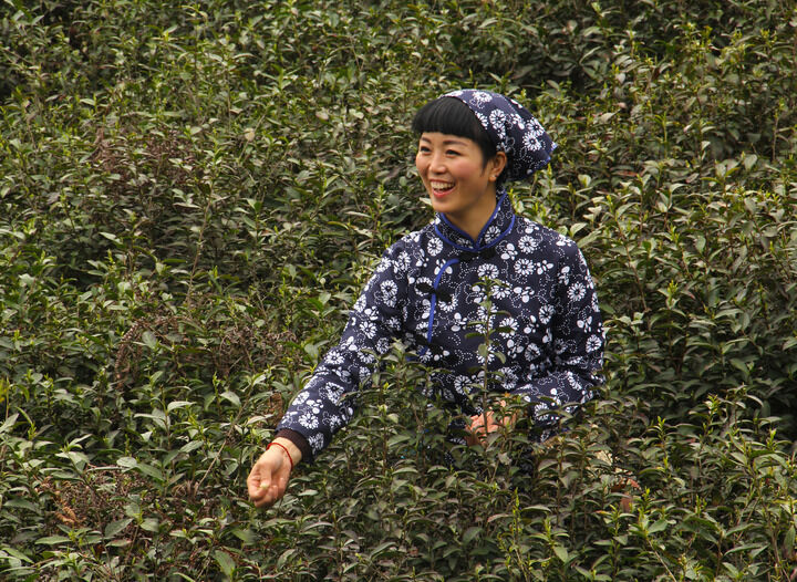 伊人淫app直播 电影
